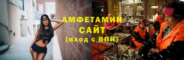 гашик Вяземский