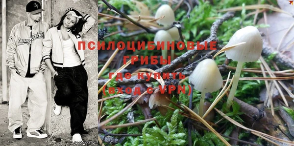 гашик Вязники