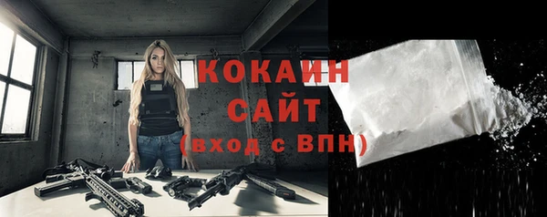 гашик Вяземский