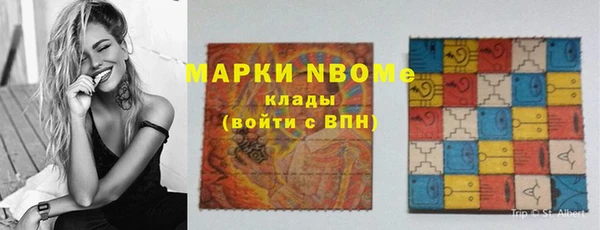 гашик Вяземский