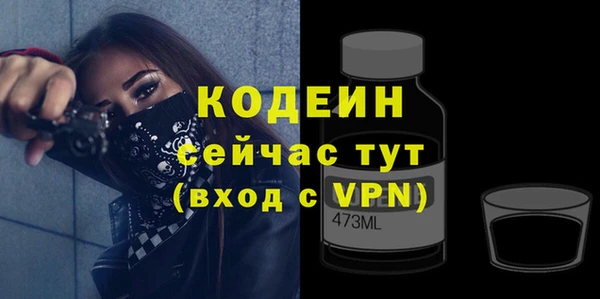 гашик Вяземский