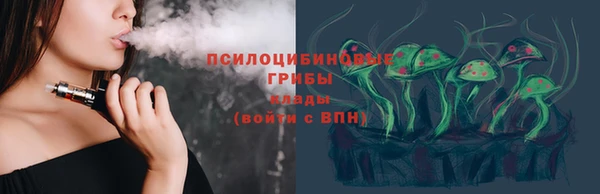 гашик Вяземский