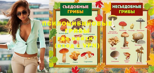 гашик Вязники
