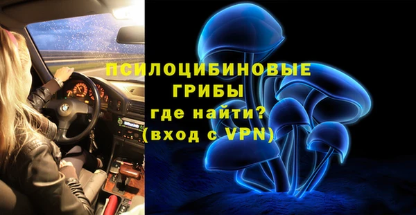 гашик Вяземский