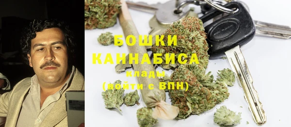 гашик Вяземский