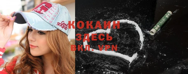 гашик Вяземский