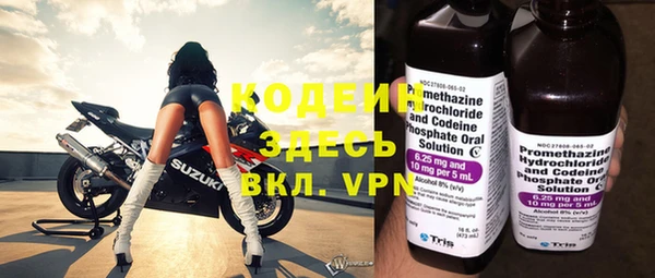 гашик Вяземский